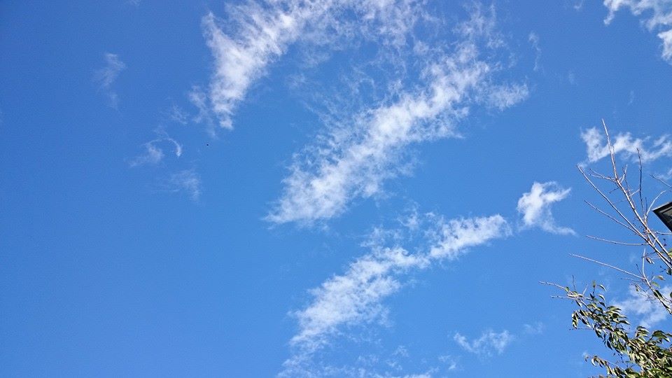 a0014141_23503857.jpg
