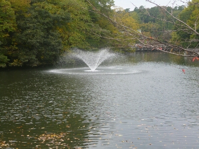 a0213742_202533.jpg