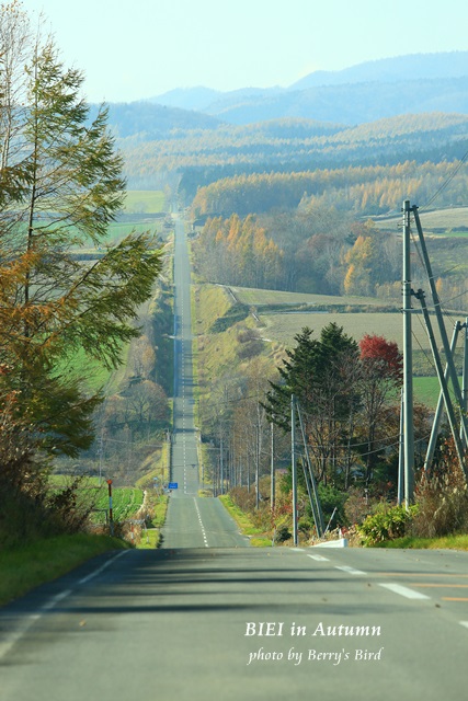 e0173743_22245240.jpg