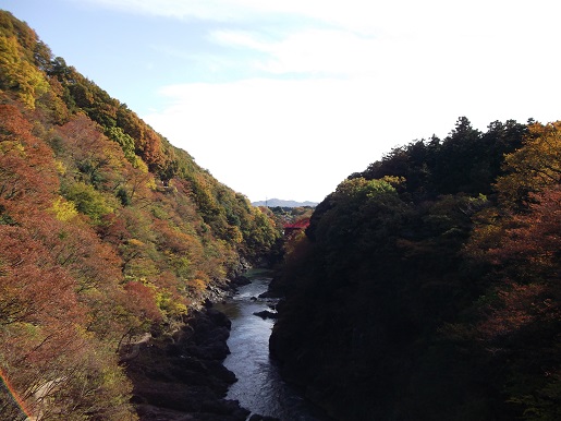 e0248844_12484020.jpg