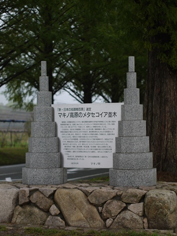 e0100046_1652772.jpg