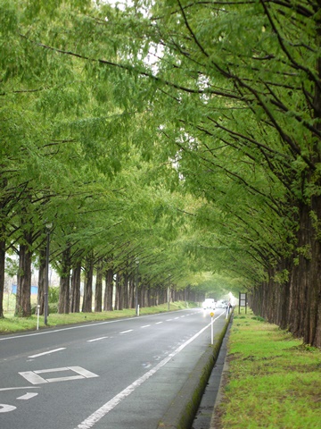 e0100046_168112.jpg