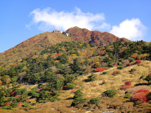 c0179351_18444815.jpg