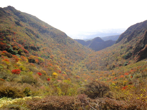 c0179351_1848675.jpg