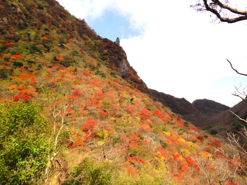 c0179351_1849133.jpg