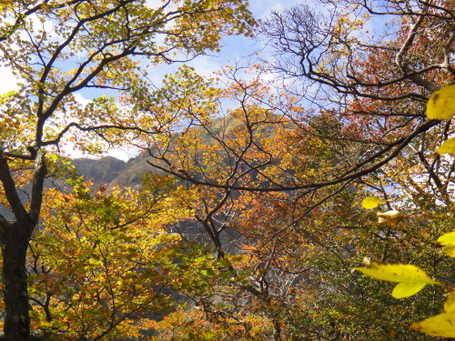 c0179351_1850018.jpg