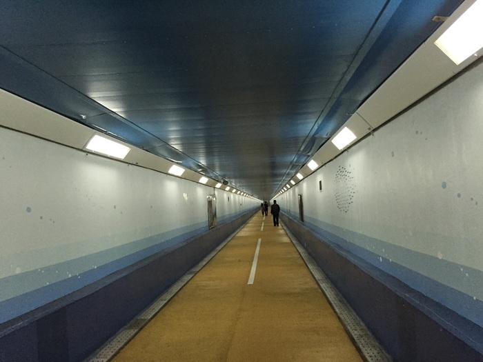 b0002156_9132670.jpg