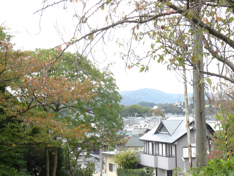 c0108460_16104542.jpg