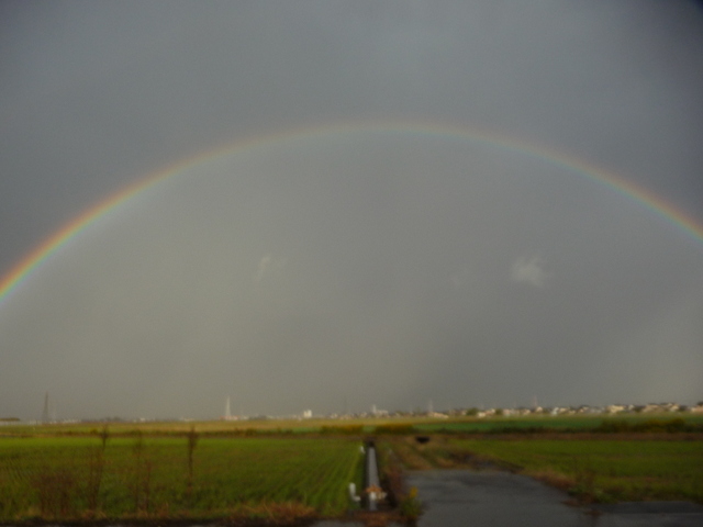 f0208760_16463897.jpg