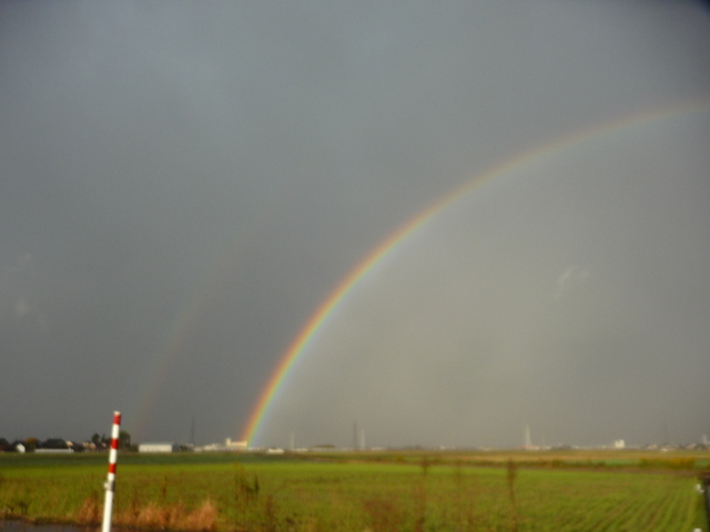 f0208760_164718.jpg