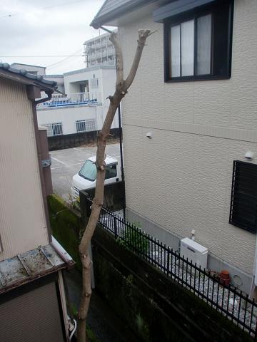 c0172261_7381917.jpg