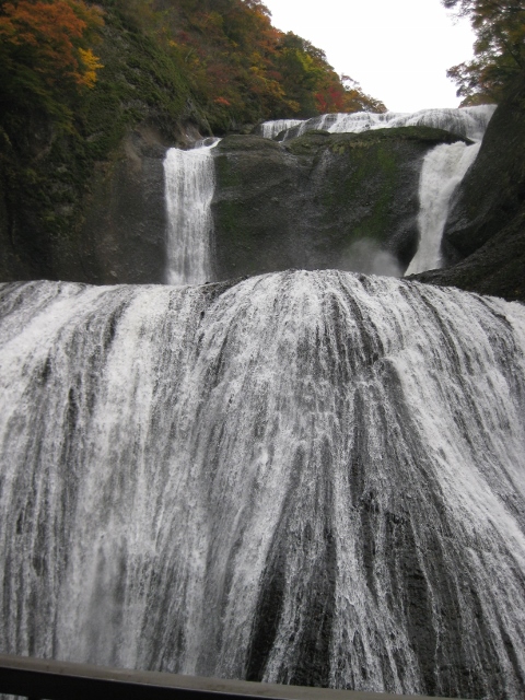 f0345263_22455575.jpg