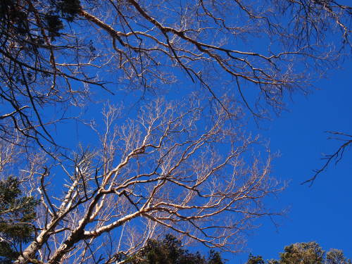 c0144868_23361617.jpg