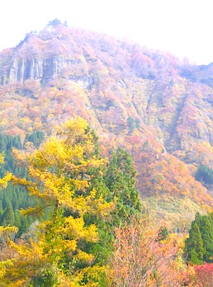 b0138478_1357154.jpg