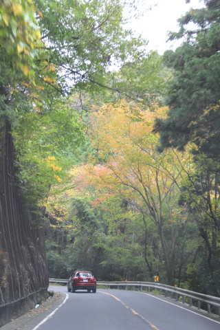 e0154682_23400343.jpg