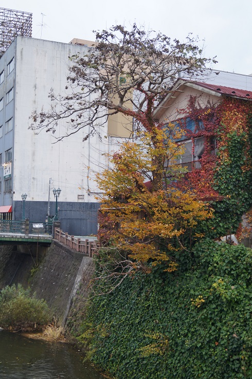 d0129083_15471561.jpg