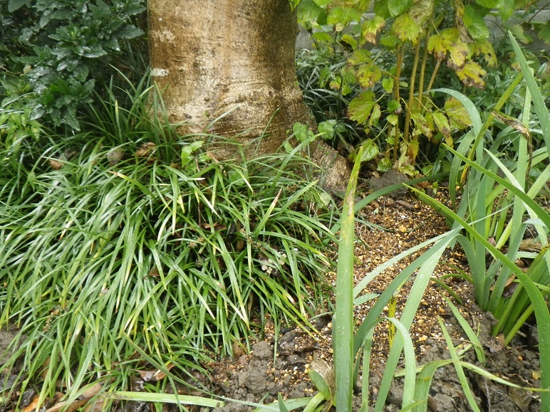 d0119688_18403210.jpg
