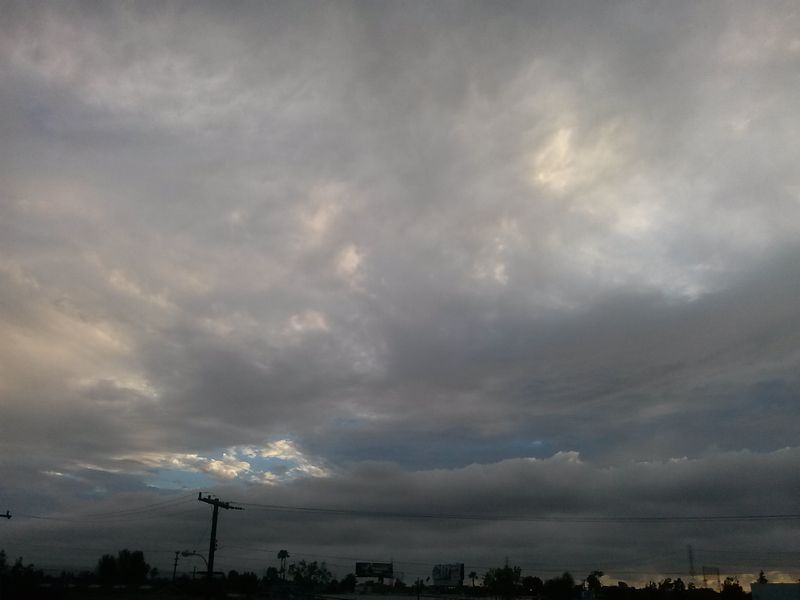 c0335691_1433526.jpg