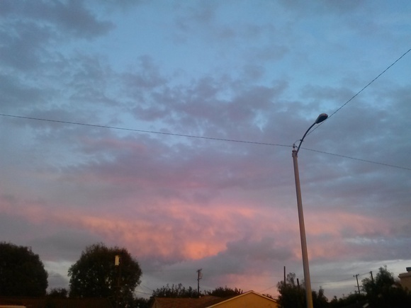 c0335691_1435831.jpg