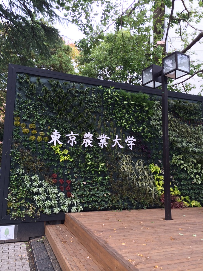 f0305995_0144951.jpg