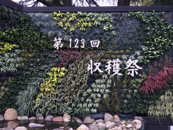 f0305995_0161861.jpg
