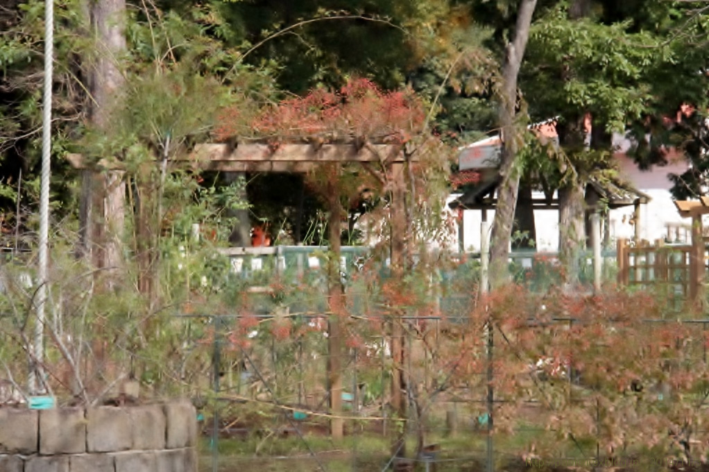 d0166303_0404615.jpg