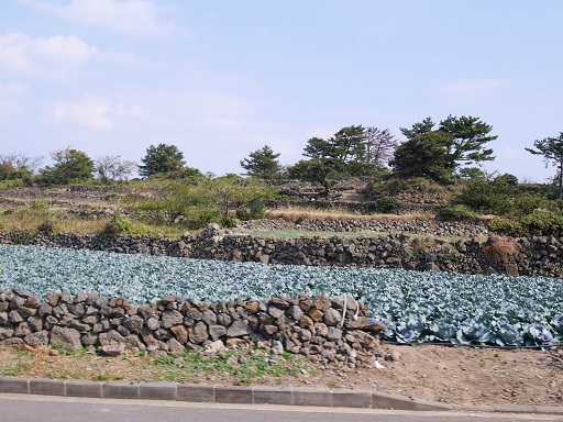 a0140305_211019.jpg