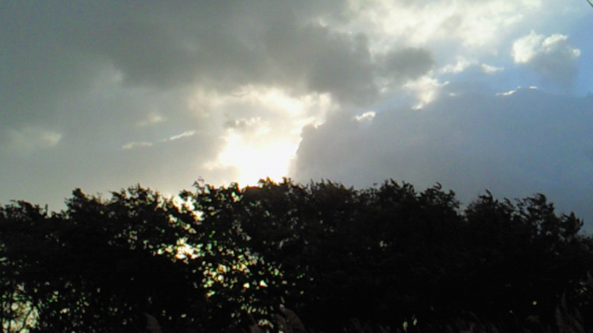 d0149105_7154419.jpg