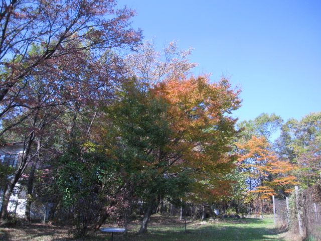 f0327308_15281127.jpg