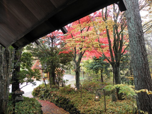 b0342516_11473050.jpg