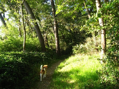 c0084117_13103150.jpg