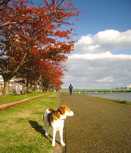 c0084117_1313254.jpg