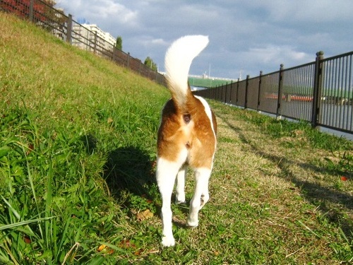 c0084117_135346.jpg