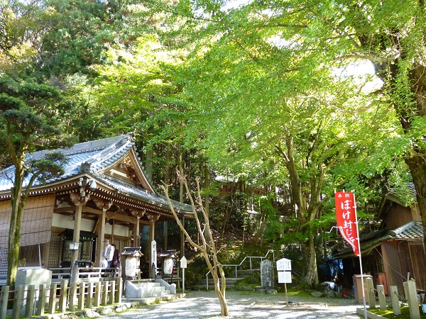 f0228619_23443249.jpg
