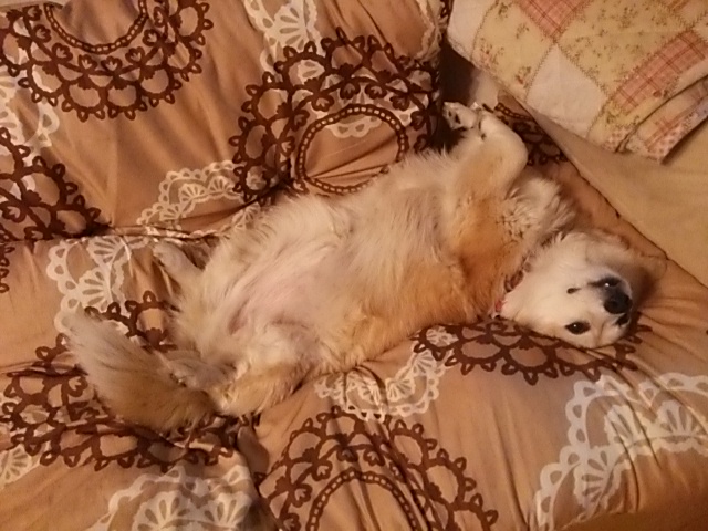 c0150520_222552.jpg