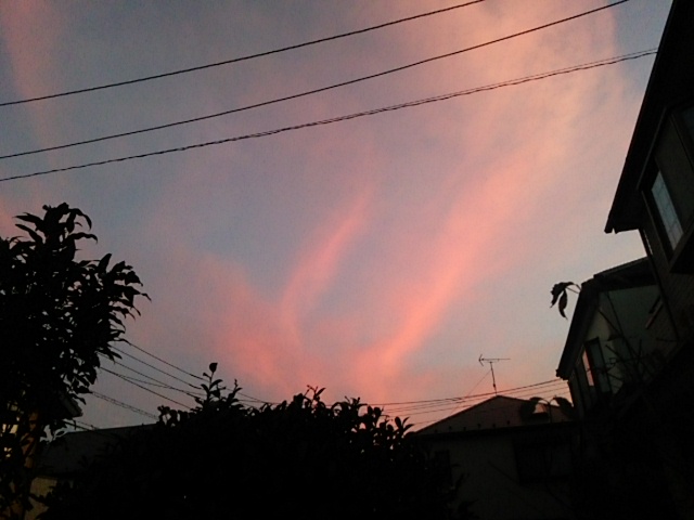 c0150520_225245.jpg