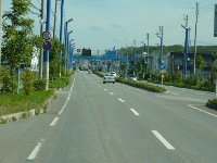 d0006323_1701363.jpg