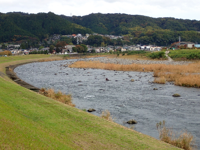 f0103126_2201133.jpg
