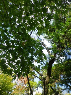 b0102728_18524972.jpg
