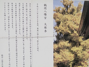 b0102728_1904582.jpg