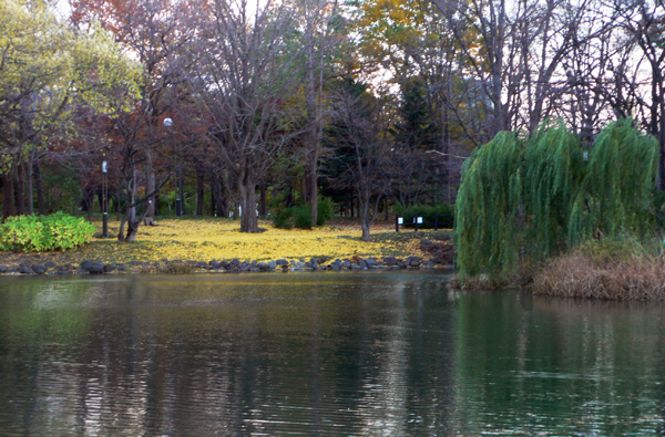 a0046429_23503654.jpg