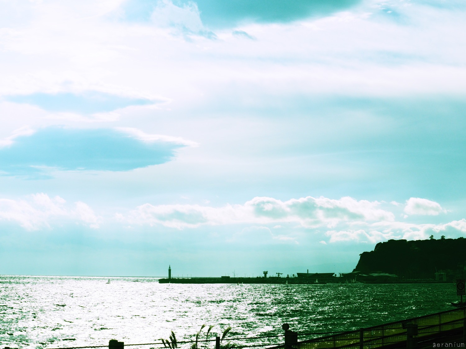 c0133533_12562493.jpg