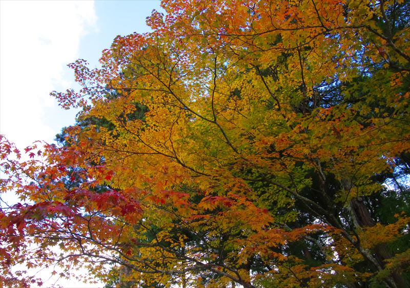 b0242140_21465740.jpg