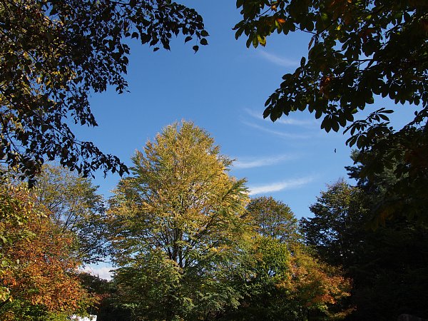 b0341140_1232584.jpg