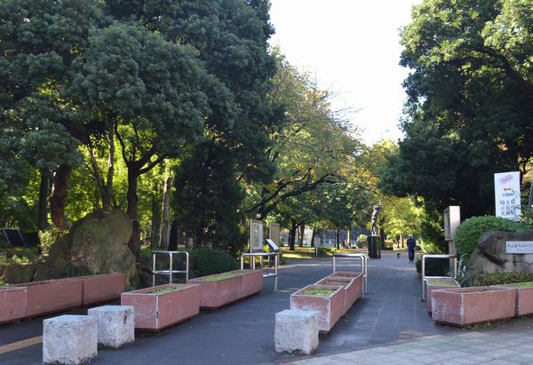 e0098241_14344465.jpg
