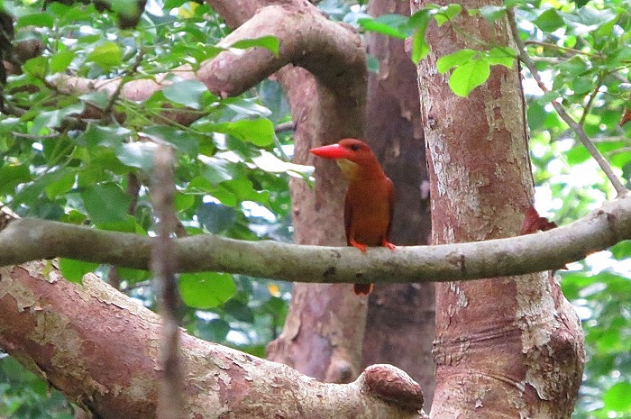 b0288942_10131880.jpg