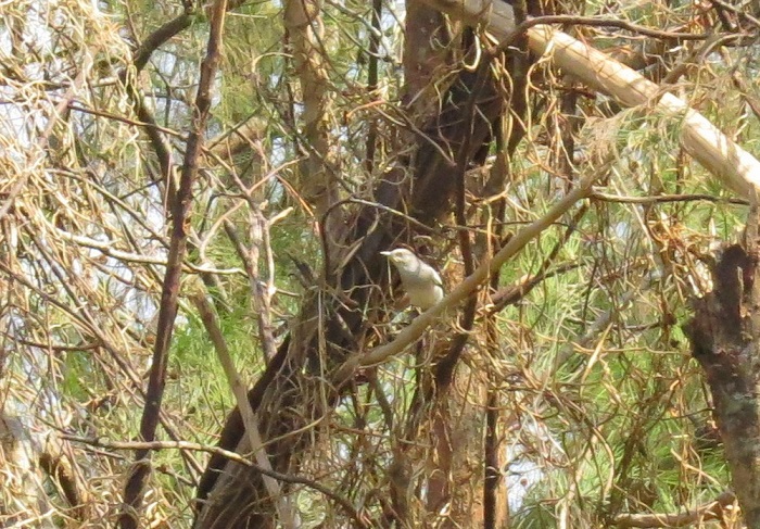 b0288942_10141724.jpg