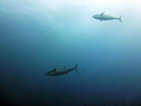 f0014842_18503147.jpg