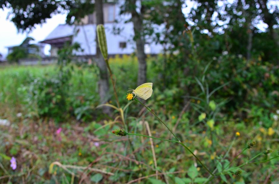 f0105542_08212698.jpg