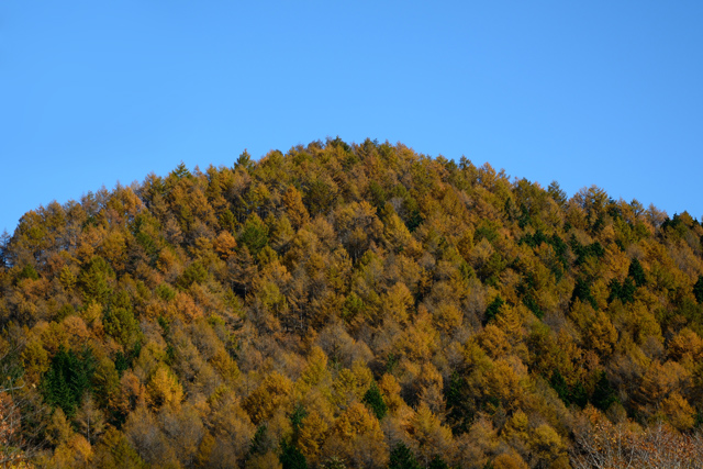 d0164443_2311936.jpg